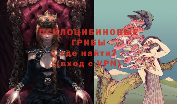 a pvp Аркадак