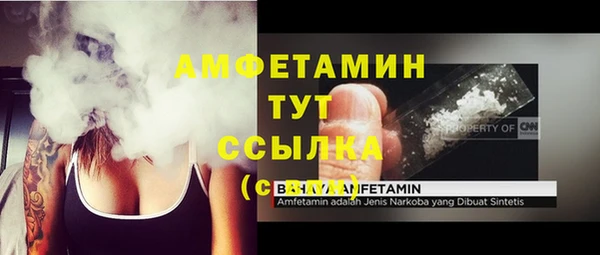 a pvp Аркадак