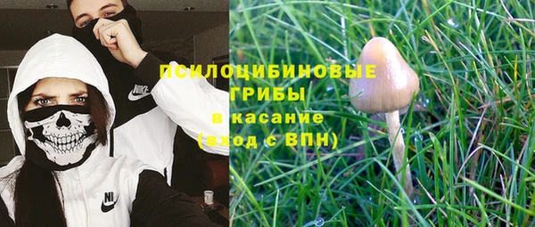 a pvp Аркадак