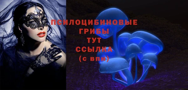a pvp Аркадак