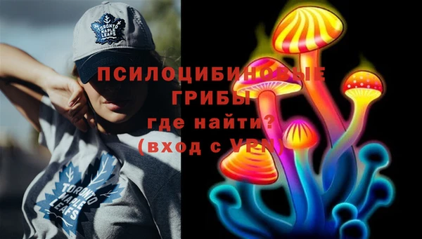 гидра Алексин