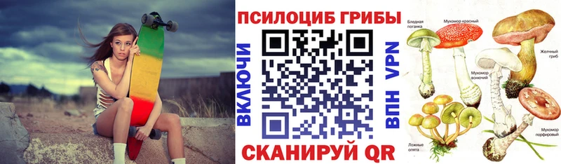 дарк нет Telegram  Кологрив  Псилоцибиновые грибы Cubensis 