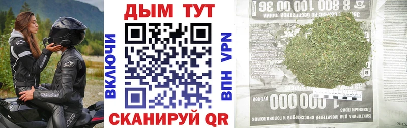 Шишки марихуана VHQ  Кологрив 